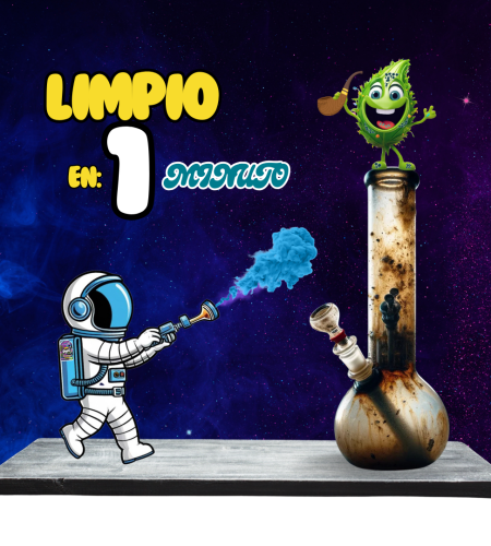 limpia-tu-bong-en-1-minuto