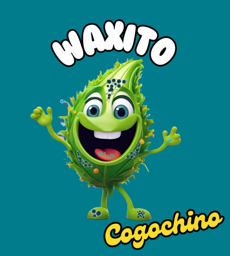 logotipo-waxito