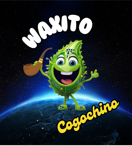 waxito-cogochino